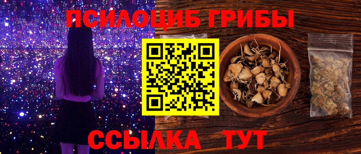 Псилоцибиновые грибы прущие грибы  купить наркоту  Ефремов  Вход с VPN 